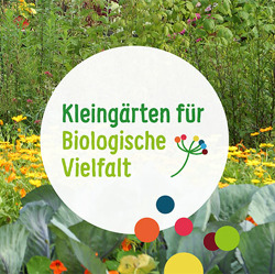 Kleingärten fördern die biologische Vielfalt    