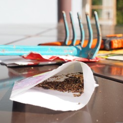 Saatgutmischungen: Was ist wirklich drin?