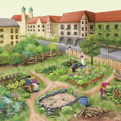 Gärtnern für mehr Biodiversität in der Stadt